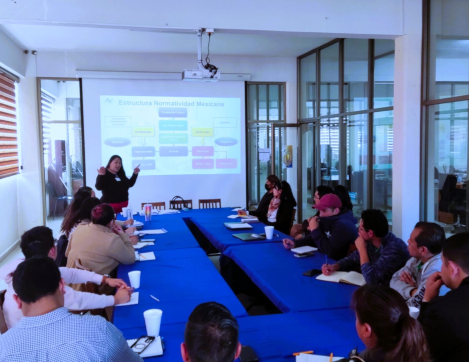 Consultoría para empresas de almacenamiento y distribución farmacéutica.